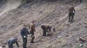 Символично залесяване на опожарената Малешевска планина по случай Седмицата на гората