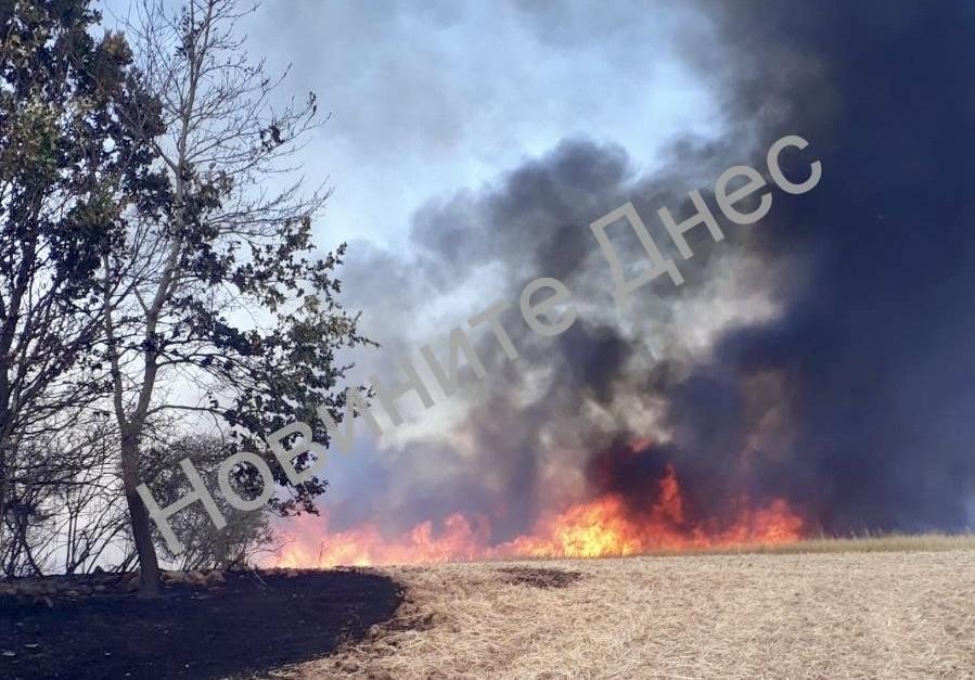 Голям горски пожар край Лозенград затвори магистрала към границата с България