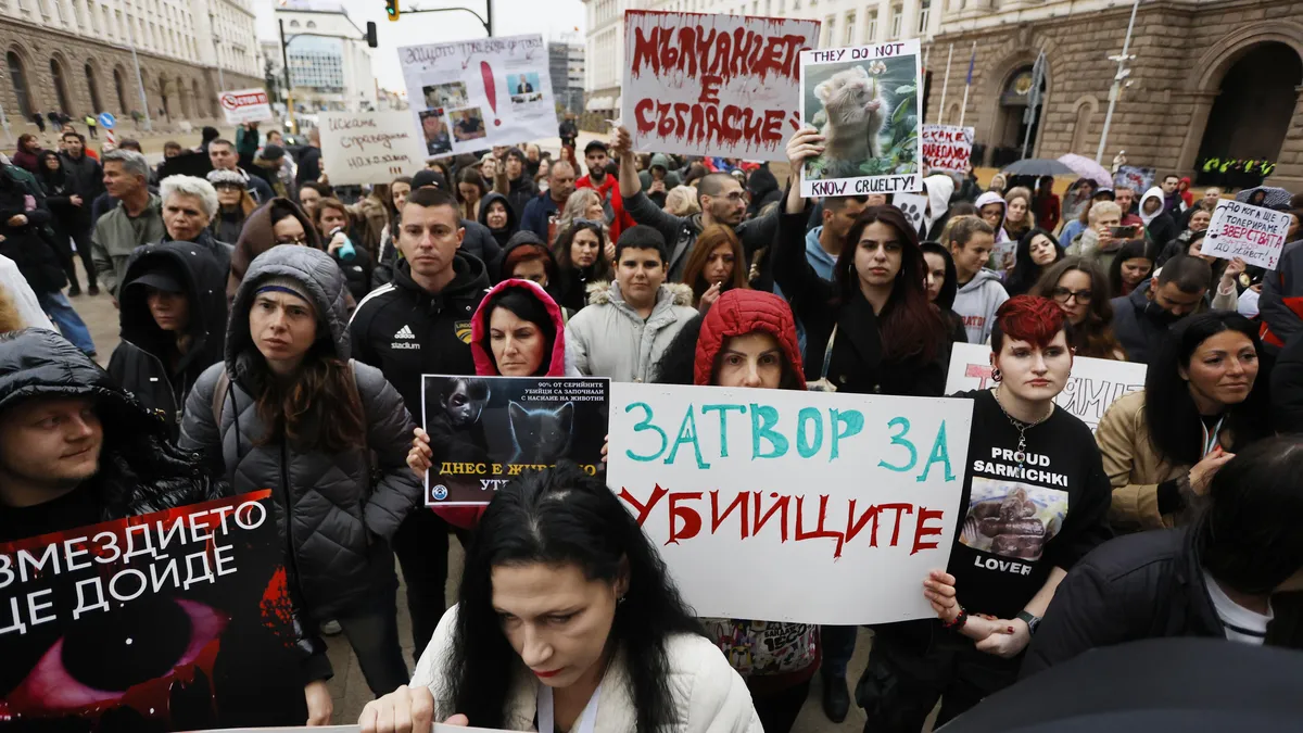 Двама перничани предадени на съд за жестокост към животни и създаване на порнографски материали