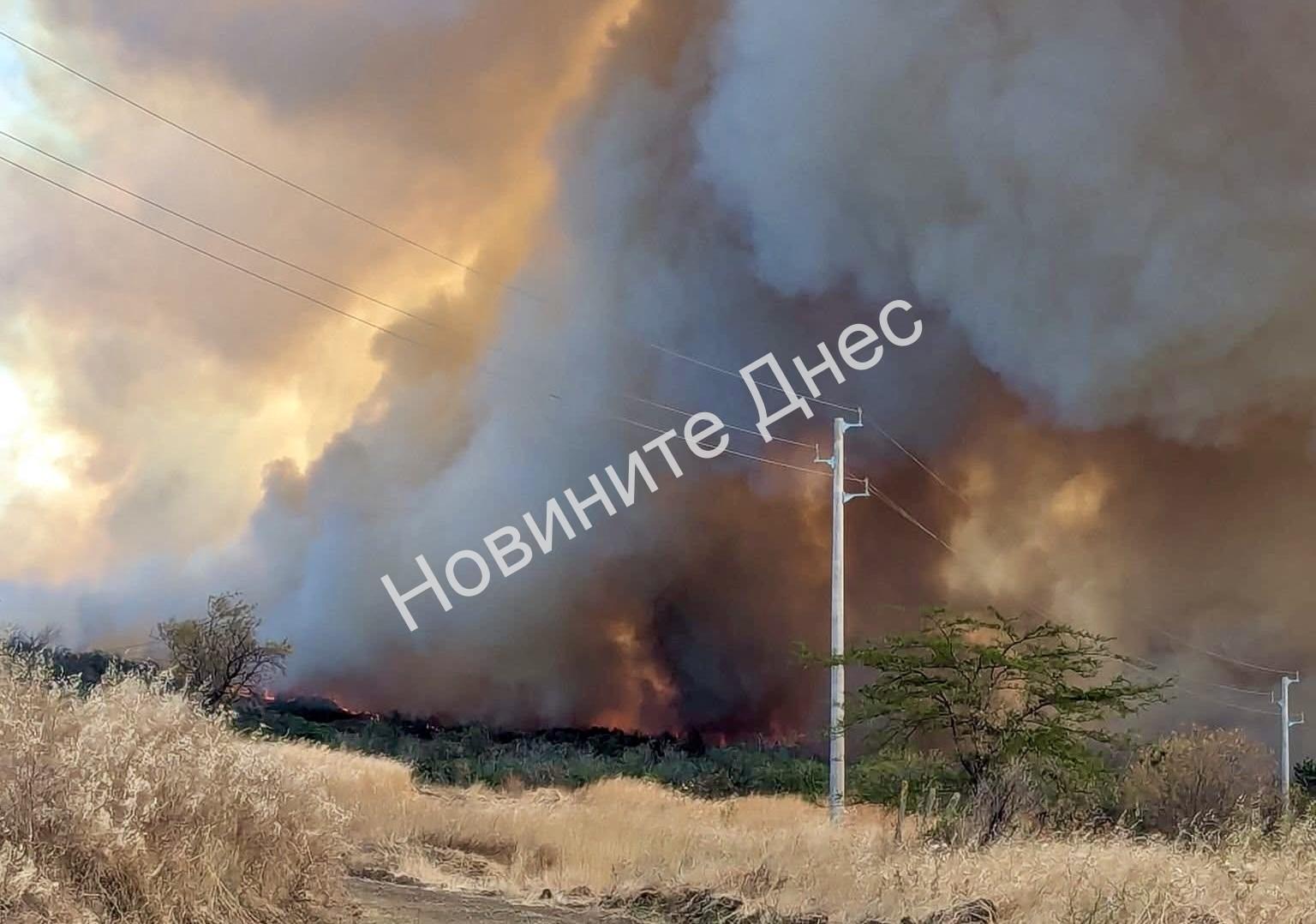 България сред най-засегнатите държави в ЕС от горски пожари