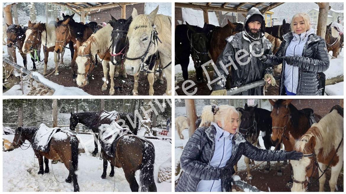 Конна езда в Боровец – зимно бягство сред природата далеч от пистите/кадри/