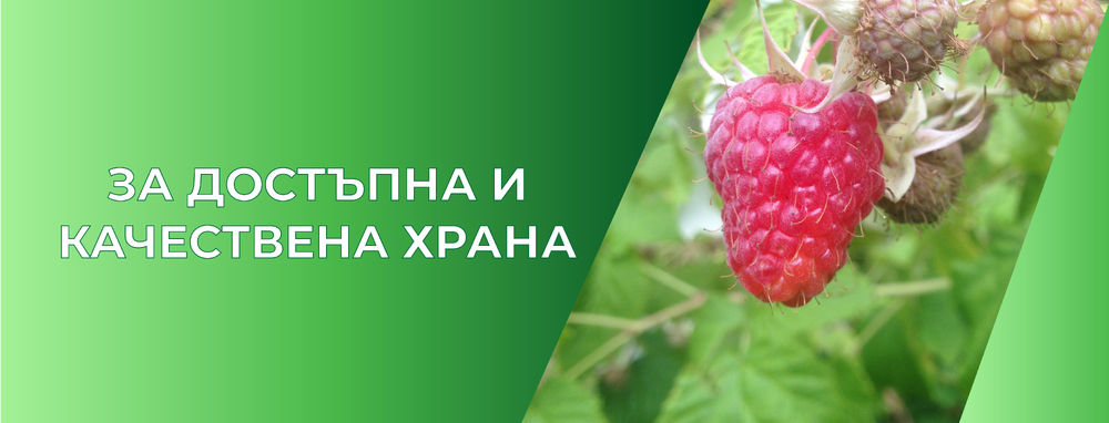 Сдружение „За достъпна и качествена храна“ сигнализира премиера за блокирани социални доставки