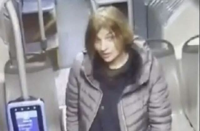 Задържаха жената, намушкала четирима германци в центъра на София