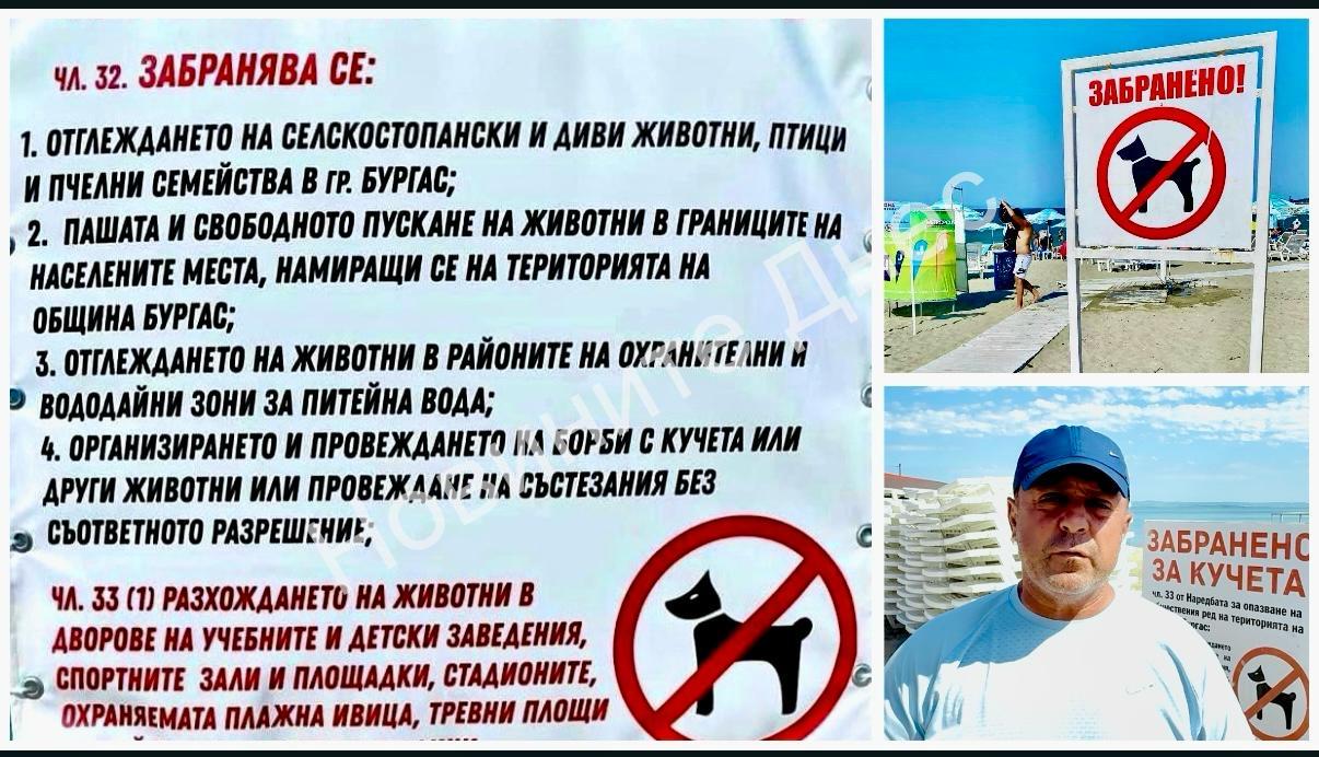ВАЖНО: От 1 юни влиза забраната за домашни любимци на охраняемите плажове/кадри/