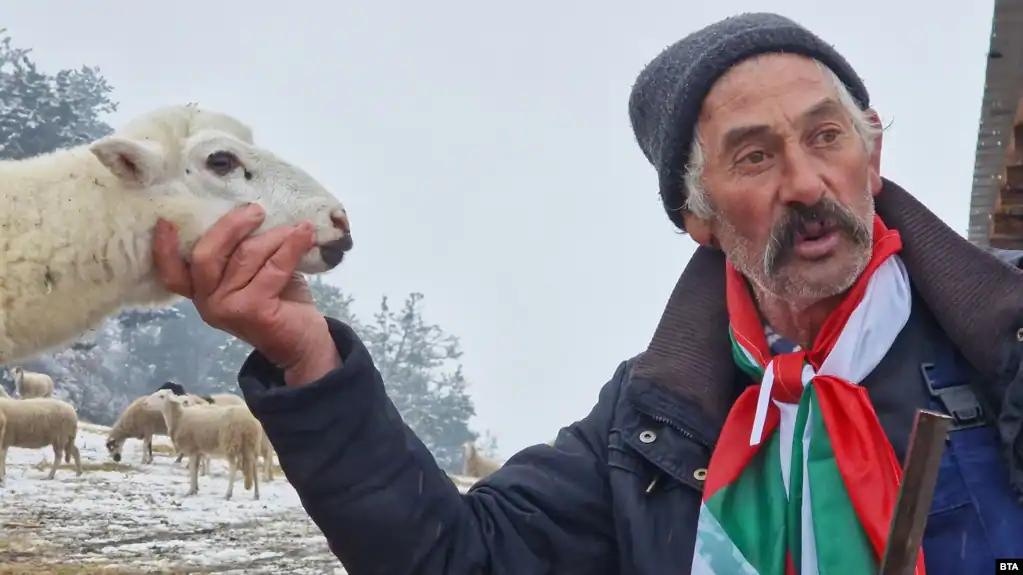 бай Рибан