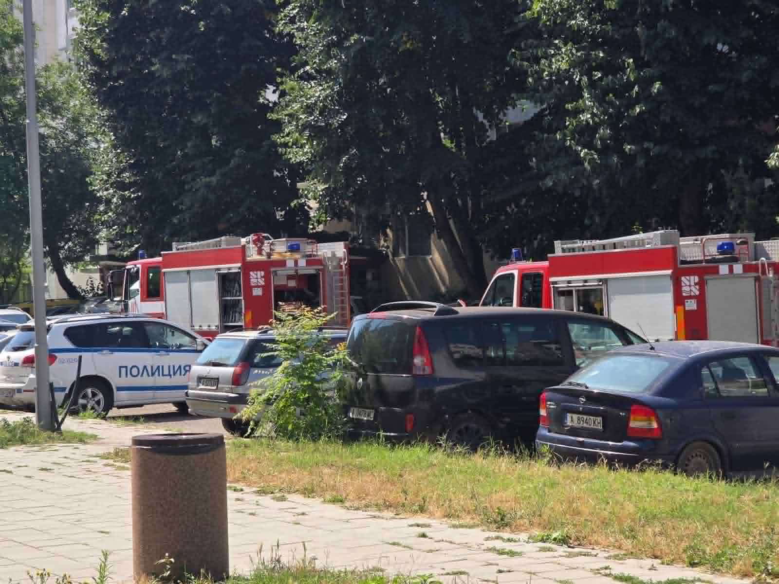 Извънредно в „Новините Днес“: Голям пожар избухна в бургаския ж. к. „Славейков“ (СНИМКИ)