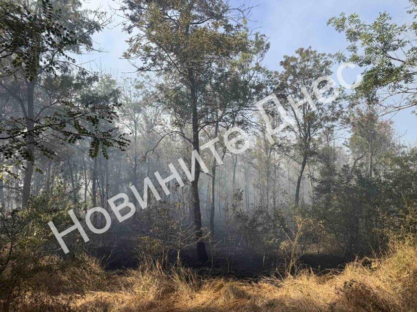 ИЗВЪНРЕДНО в „Новините Днес“: Пожар гори във вилната зона на Изворище край Бургас